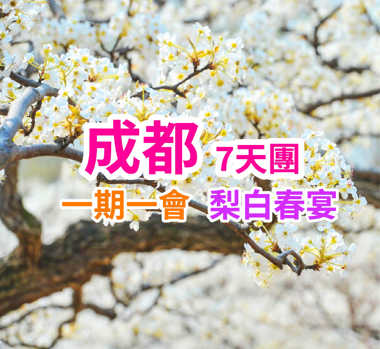 僅辦一團三月梨花時令限定金川梨花節-峨眉山樂山-成都純玩7天6晚團 