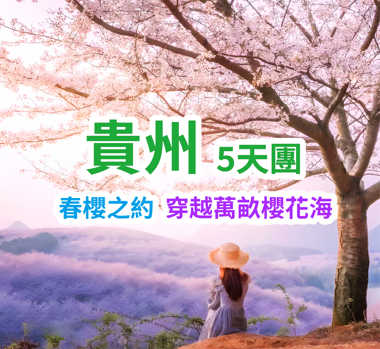 【西九龍往返】春櫻之約 穿越萬畝櫻花海 全程5星標準高鐵純玩5天團