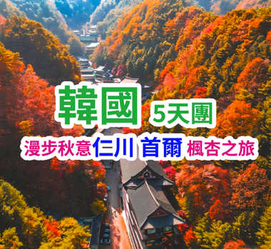 韓國漫步秋意 楓杏之旅 5天團