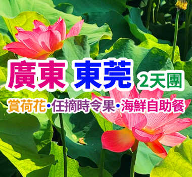 【季節限定·一年一度荷花節&任摘任食嶺南佳果】東莞純玩2天團