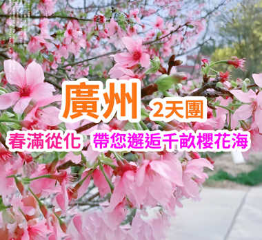 【一年一度櫻花節】純玩 廣州2天團
