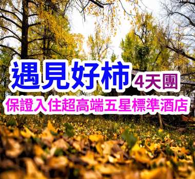 感受廣西古圩風情 海洋銀杏林  遇見好柿桂林4天團