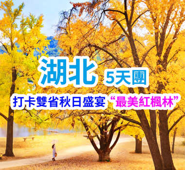 【兩湖品秋】湖北隨州《一年一度銀杏節》高鐵5天團