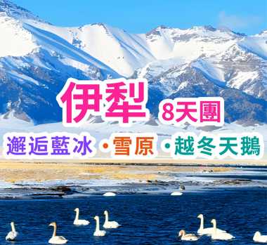 邂逅藍冰、 雪原、越冬天鵝 伊犁8天團