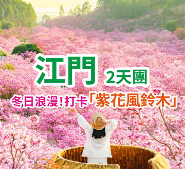 【粉色限定浪漫】打卡紫花風鈴木开成整山粉色的浪漫海 純玩2天團